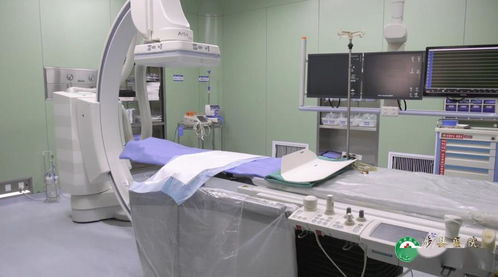 涉縣醫(yī)院心血管內(nèi)科 高端設(shè)備與專業(yè)技術(shù)并重，信息技術(shù)咨詢服務(wù)提供精心守護(hù)